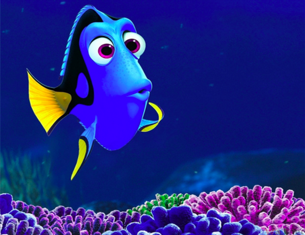 forgetfulness dory